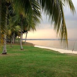 Casa Pasir Ris (D17), Condominium #468104311